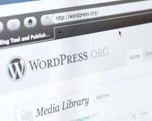 Mobile Application Development, Search Engine Optimization Services, WordPress Web Development